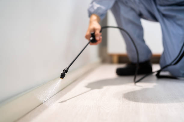 Licensed Pest Control service in New Town, ND - Show Me Pest Control