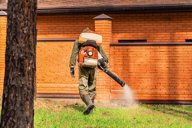 Top rated local Mosquito Control specialists in New Town, ND
